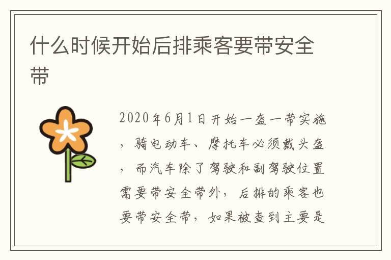 什么时候开始后排乘客要带安全带
