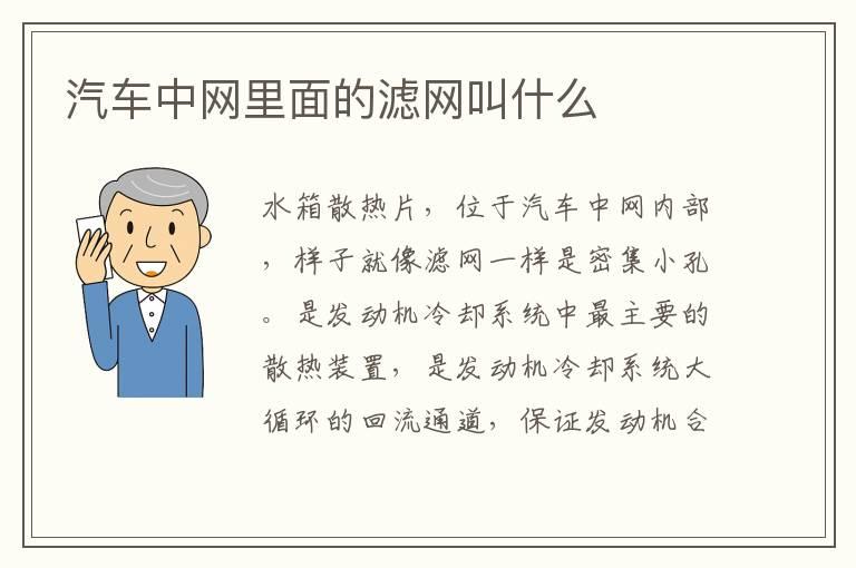 汽车中网里面的滤网叫什么