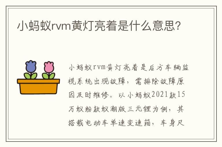 小蚂蚁rvm黄灯亮着是什么意思？