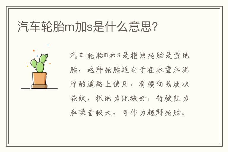 汽车轮胎m加s是什么意思？
