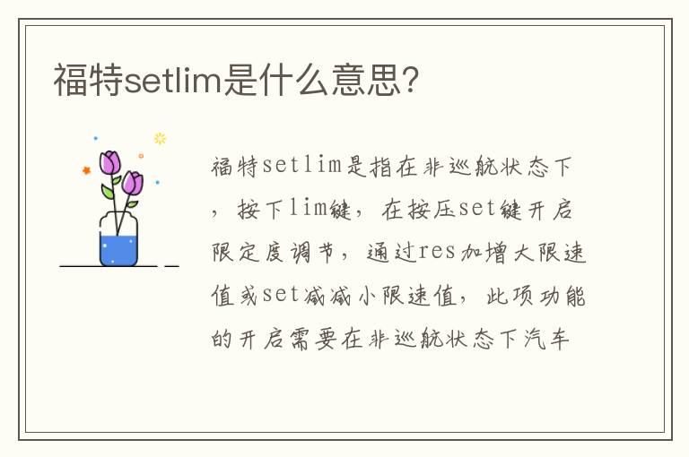 福特setlim是什么意思？