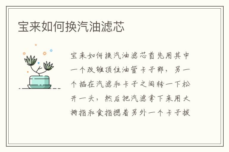 宝来如何换汽油滤芯