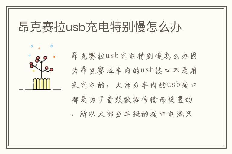 昂克赛拉usb充电特别慢怎么办