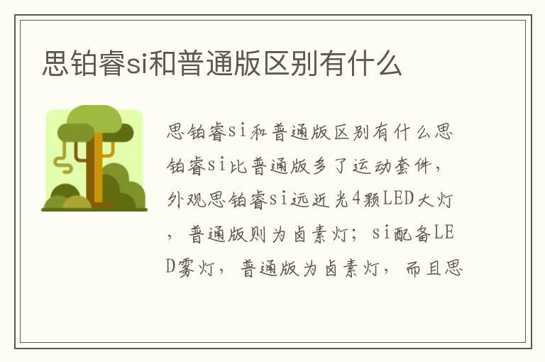 思铂睿si和普通版区别有什么