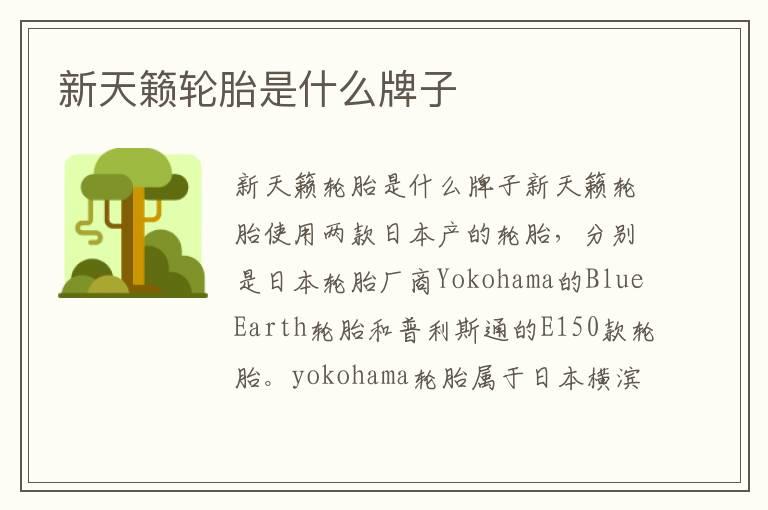 新天籁轮胎是什么牌子