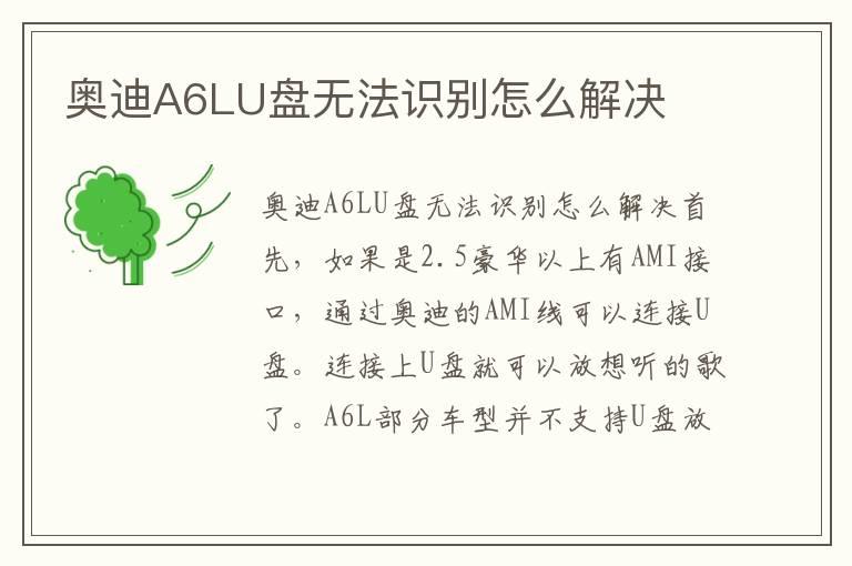 奥迪A6LU盘无法识别怎么解决