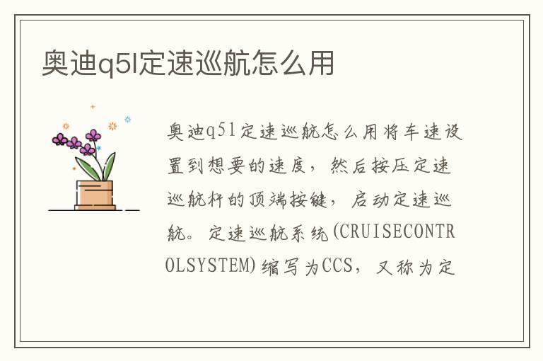 奥迪q5l定速巡航怎么用