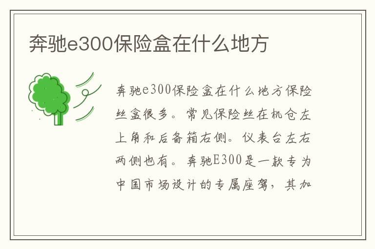 奔驰e300保险盒在什么地方