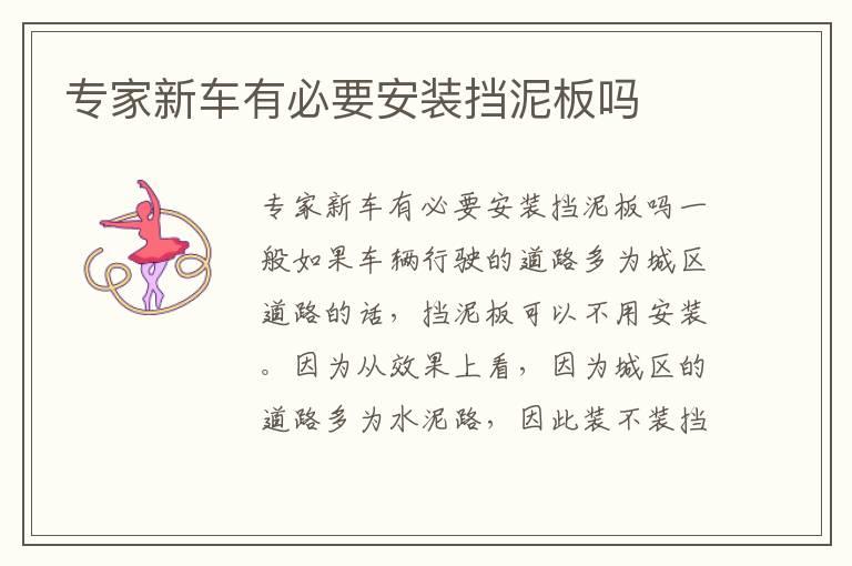 专家新车有必要安装挡泥板吗