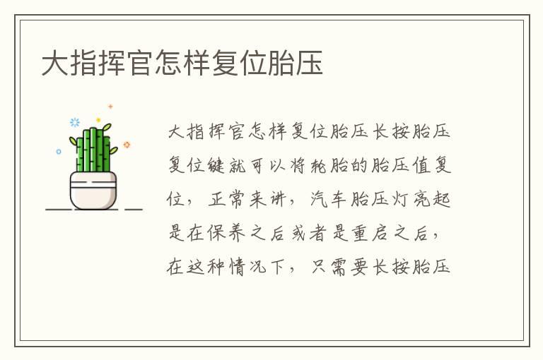大指挥官怎样复位胎压