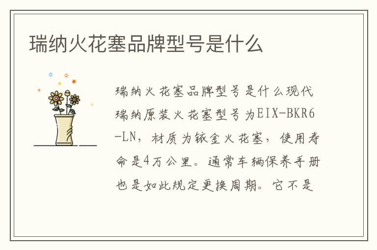 瑞纳火花塞品牌型号是什么