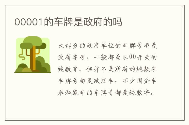 00001的车牌是政府的吗