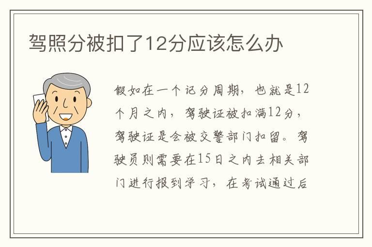 驾照分被扣了12分应该怎么办
