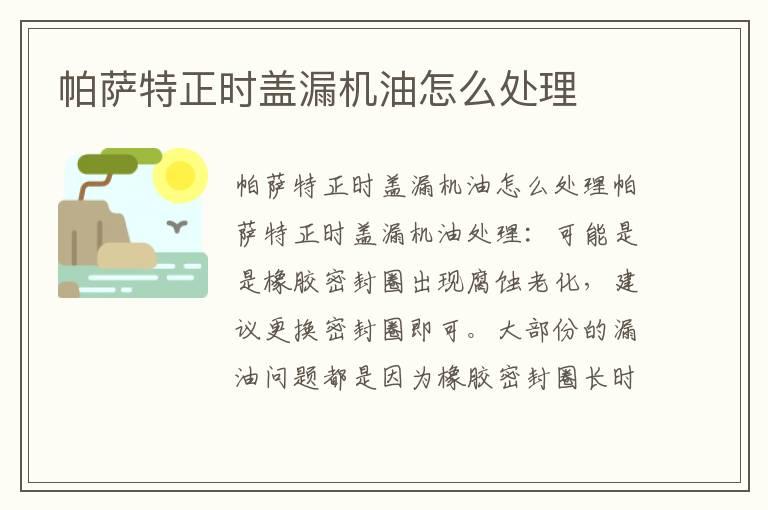 帕萨特正时盖漏机油怎么处理