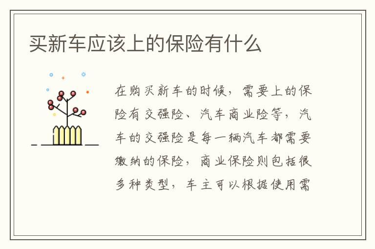 买新车应该上的保险有什么