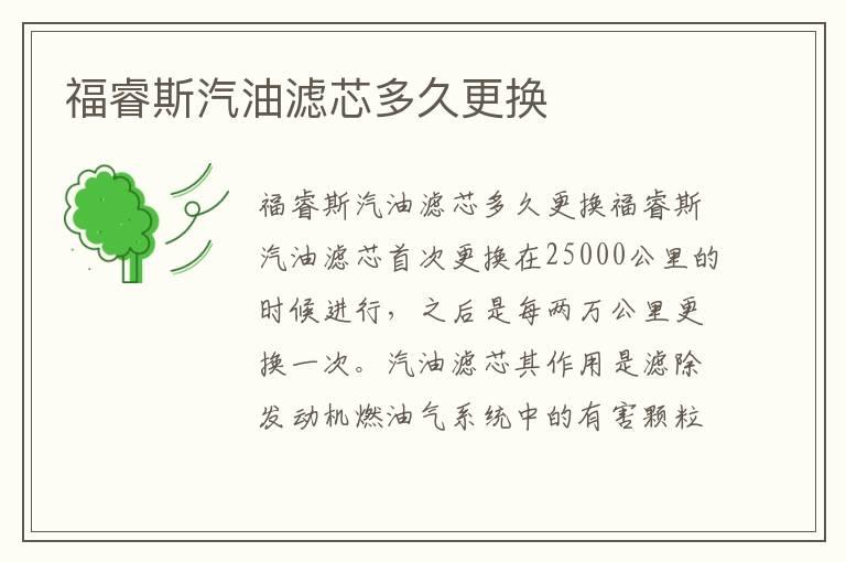 福睿斯汽油滤芯多久更换