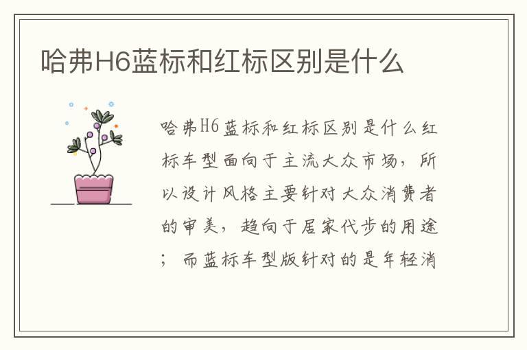 哈弗H6蓝标和红标区别是什么