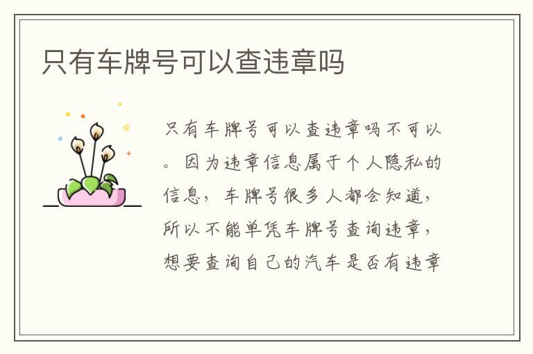 只有车牌号可以查违章吗