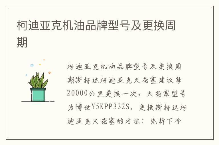柯迪亚克机油品牌型号及更换周期