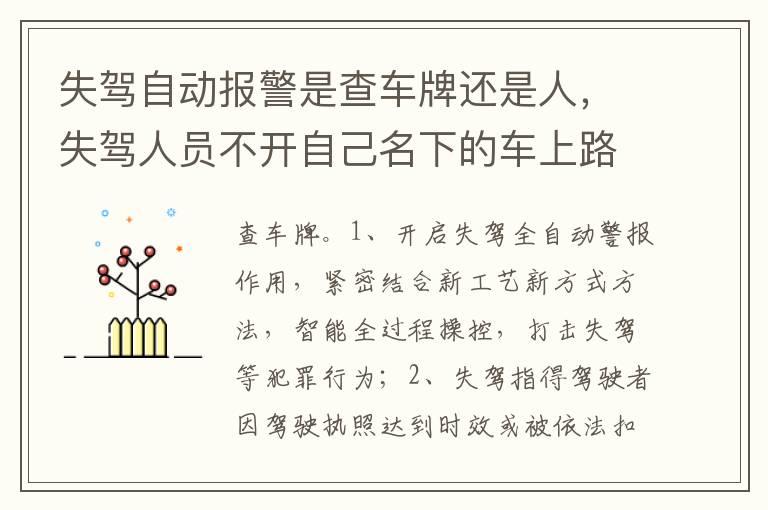 失驾自动报警是查车牌还是人，失驾人员不开自己名下的车上路会查出来吗