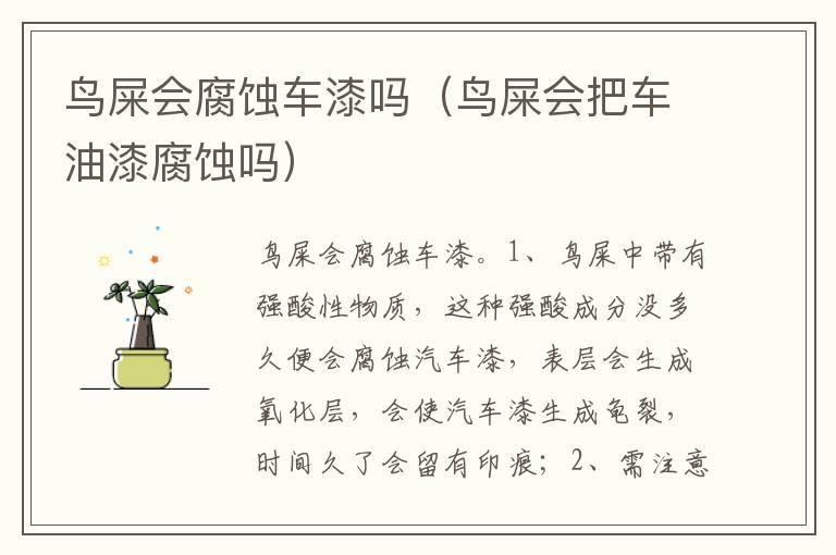 鸟屎会腐蚀车漆吗（鸟屎会把车油漆腐蚀吗）