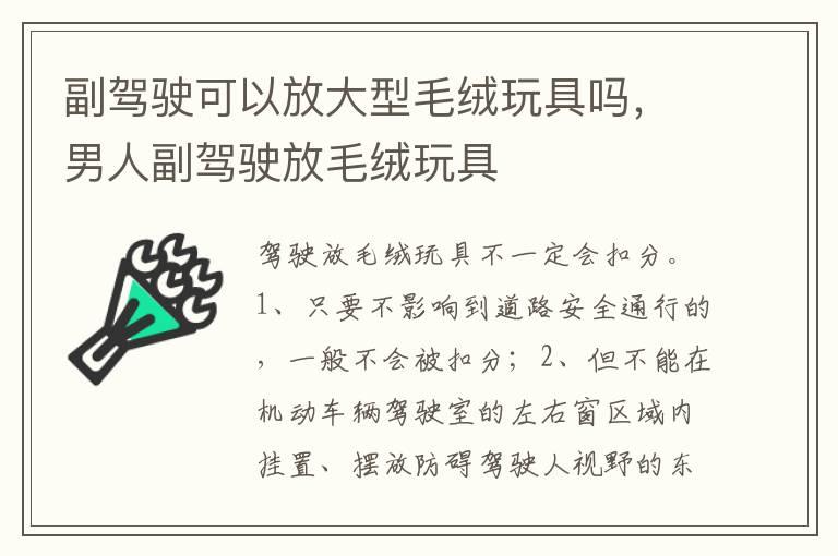副驾驶可以放大型毛绒玩具吗，男人副驾驶放毛绒玩具