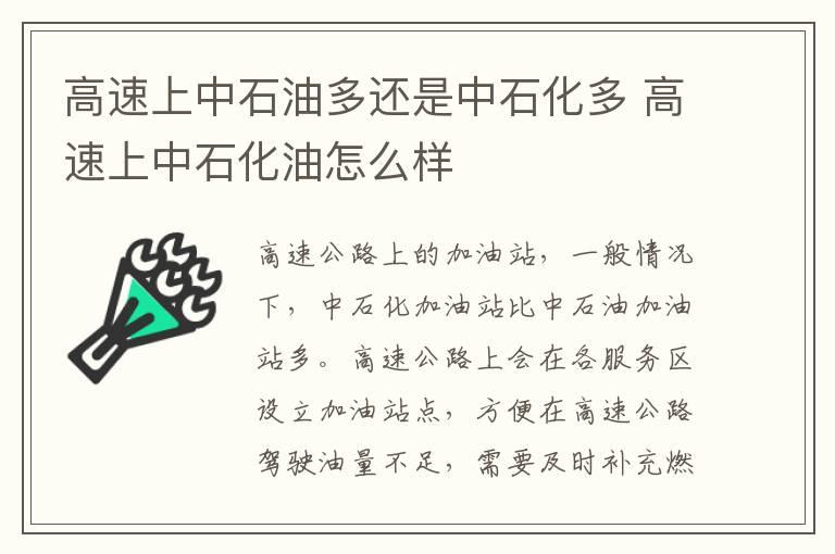 高速上中石油多还是中石化多 高速上中石化油怎么样
