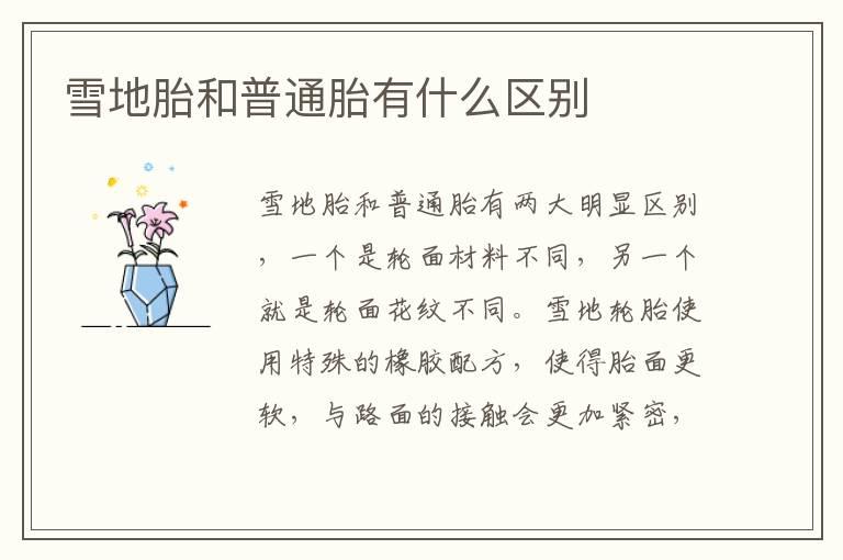 雪地胎和普通胎有什么区别