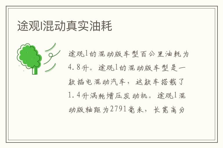 途观l混动真实油耗