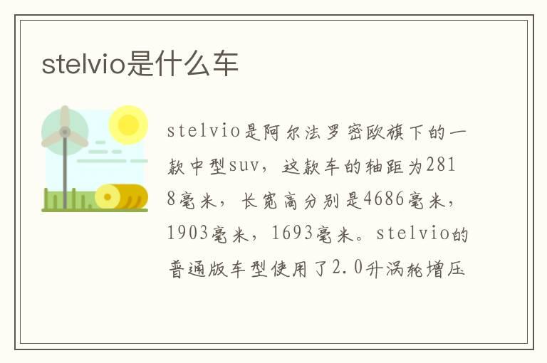 stelvio是什么车