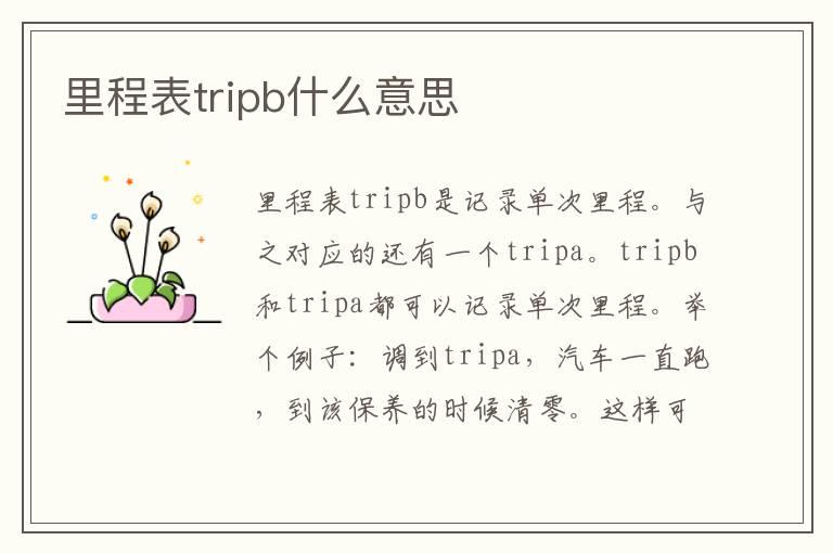 里程表tripb什么意思
