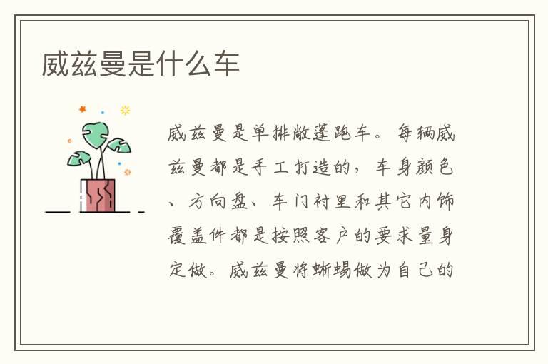 威兹曼是什么车