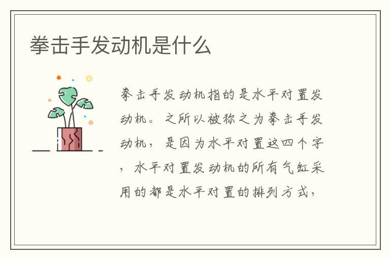 拳击手发动机是什么
