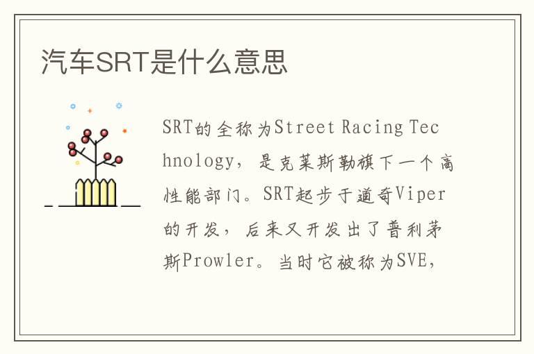 汽车SRT是什么意思