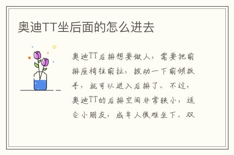 奥迪TT坐后面的怎么进去