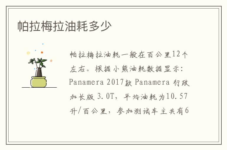 帕拉梅拉油耗多少