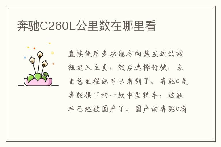 奔驰C260L公里数在哪里看