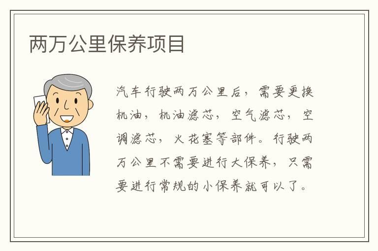 两万公里保养项目
