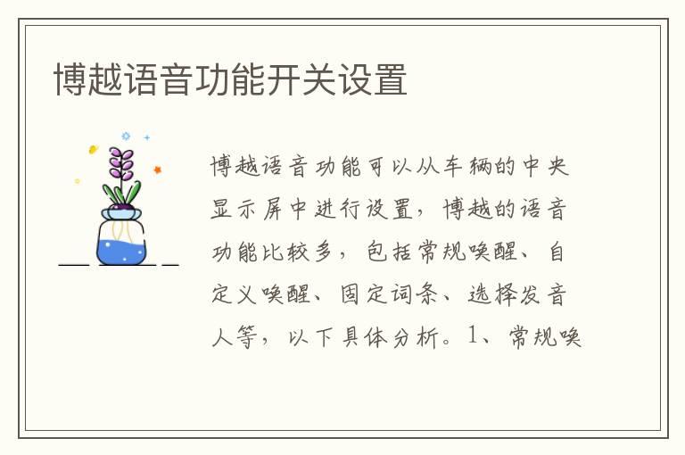 博越语音功能开关设置
