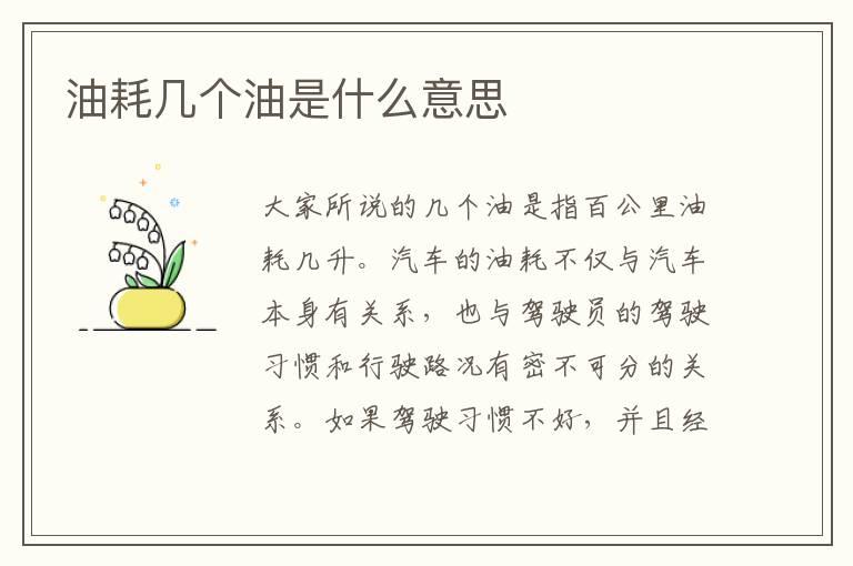 油耗几个油是什么意思