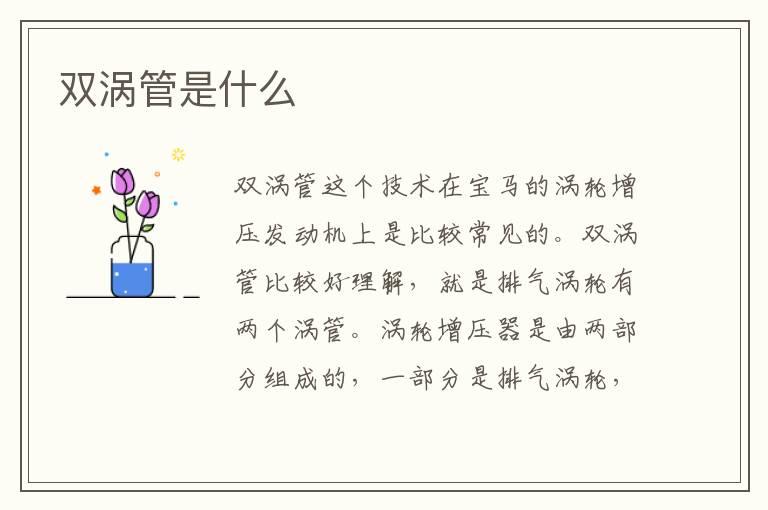 双涡管是什么