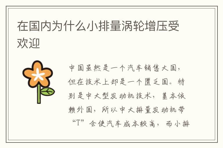 在国内为什么小排量涡轮增压受欢迎