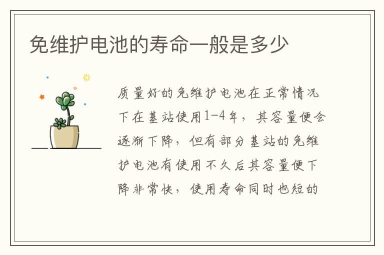 免维护电池的寿命一般是多少