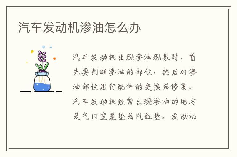 汽车发动机渗油怎么办
