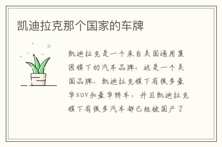 凯迪拉克那个国家的车牌