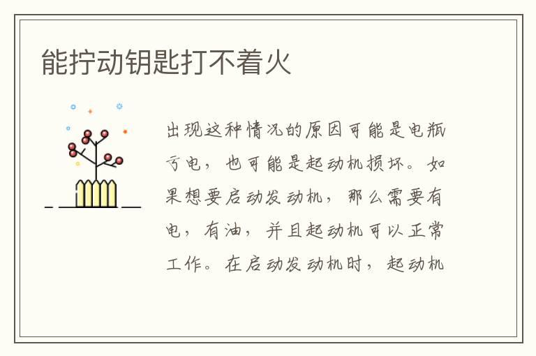 能拧动钥匙打不着火