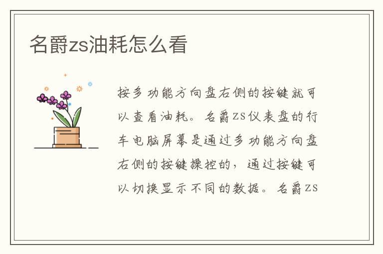 名爵zs油耗怎么看