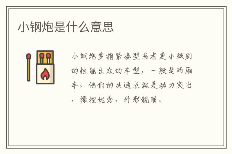小钢炮是什么意思