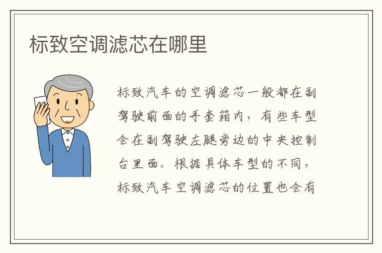 标致空调滤芯在哪里