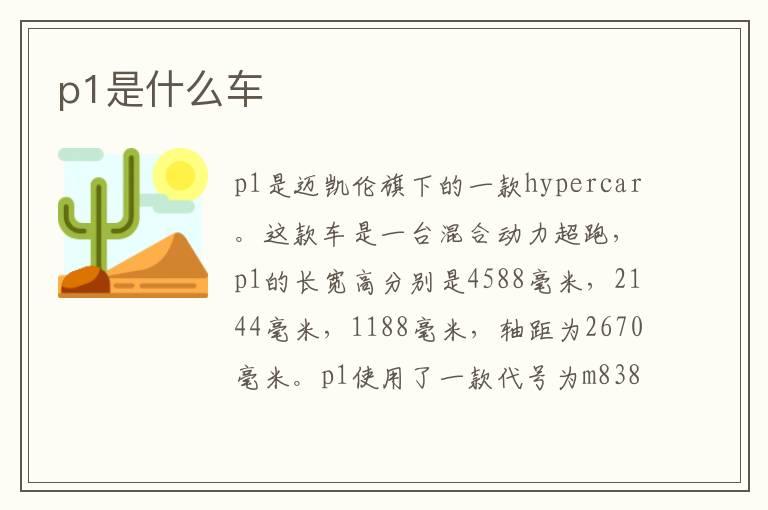 p1是什么车